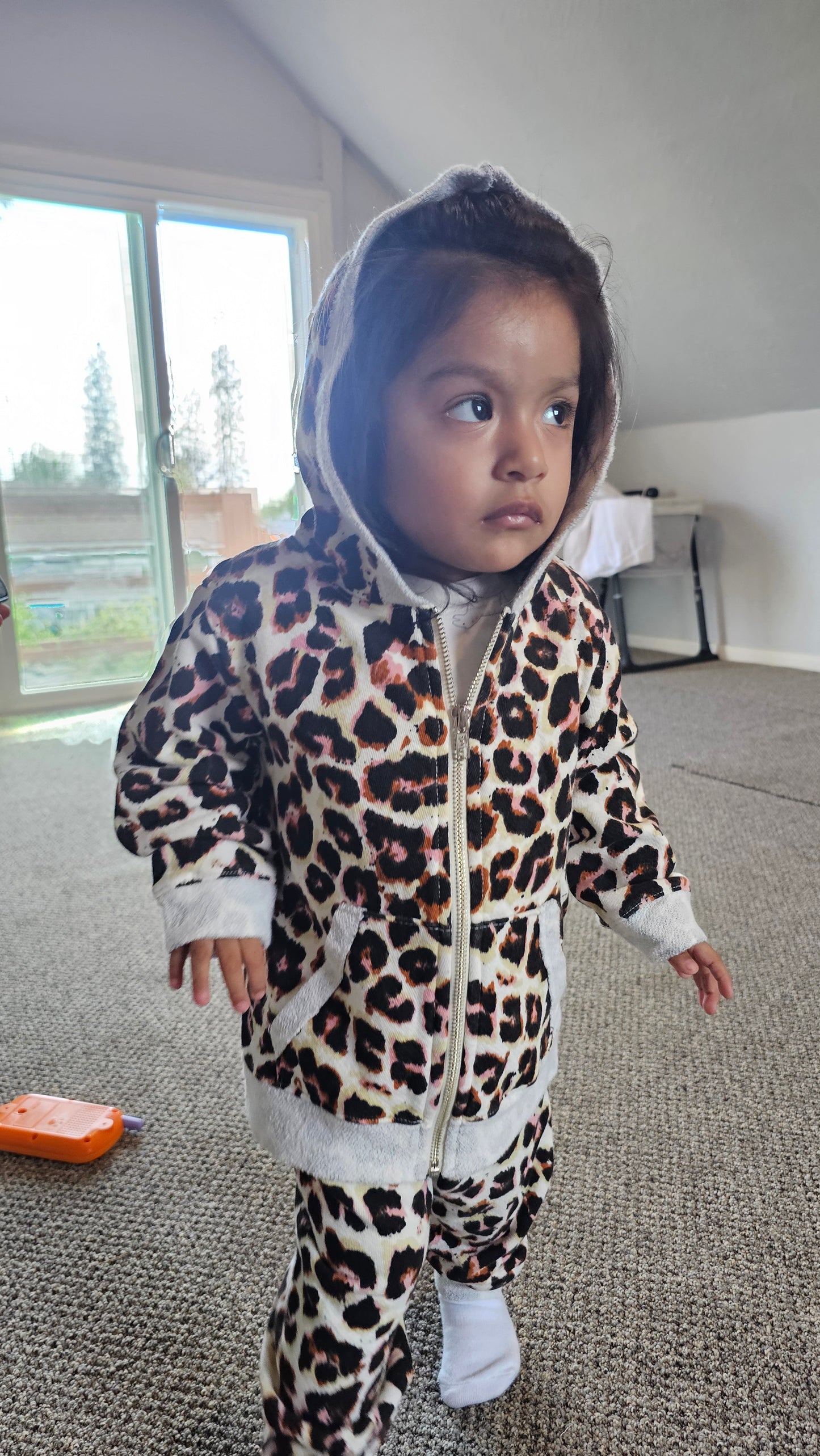 Kid's Hoodie and Pant Set